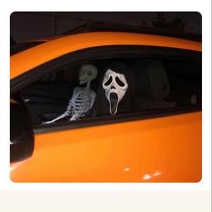 Meet your Posher, Cameron